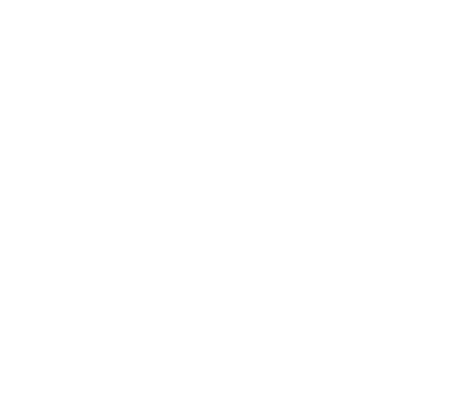 BIGCIM